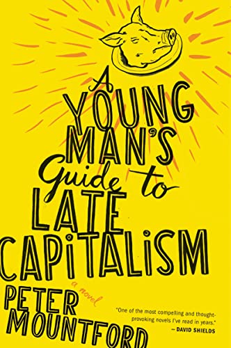 cover image A Young Man's Guide to Late Capitalism