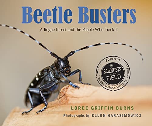 cover image Beetle Busters: A Rogue Insect and the People Who Track It
