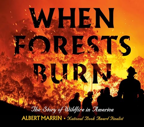 cover image When Forests Burn: The Story of Wildfires in America