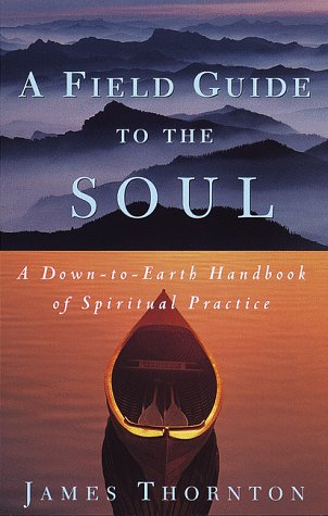 cover image A Field Guide to the Soul: A Down-To-Earth Handbook of Spiritual Practice