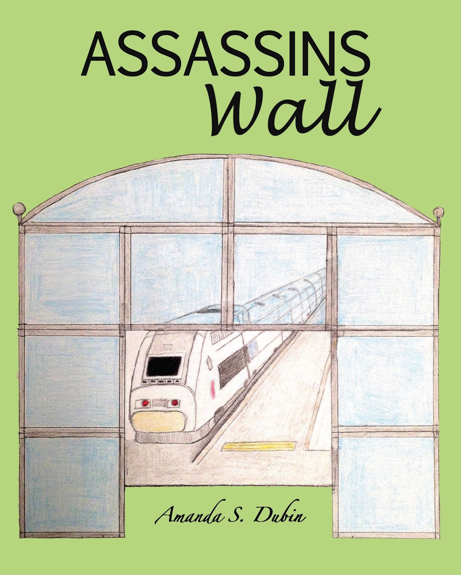 cover image Assassin's Wall