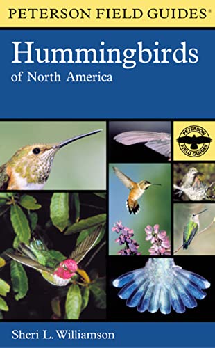 cover image Hummingbirds of North America
