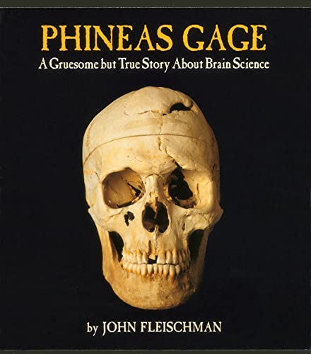 cover image Phineas Gage: A Gruesome But True Story about Brain Science
