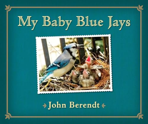 cover image My Baby Blue Jays