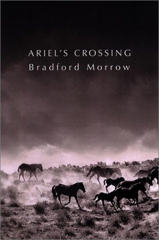 cover image ARIEL'S CROSSING