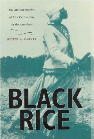 cover image Black Rice: The African Origins of Rice Cultivation in the Americas,