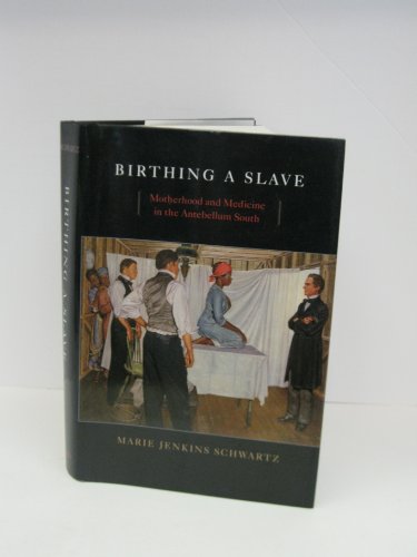 cover image Birthing a Slave: Motherhood and Medicine in the Antebellum South