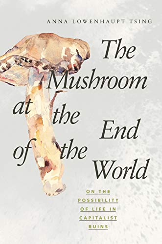 cover image The Mushroom at the End of the World: On the Possibilities of Life in Capitalist Ruins
