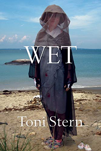 cover image Wet