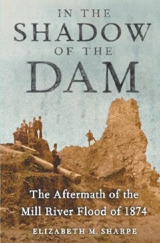 cover image IN THE SHADOW OF THE DAM: The Aftermath of the Mill River Flood of 1874