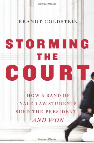 cover image Storming the Court: How a Band of Law Students Sued the President—and Won