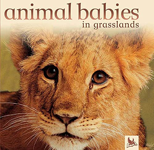 cover image Animal Babies in Grasslands