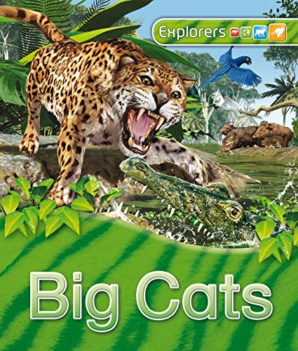 cover image Explorers: Big Cats