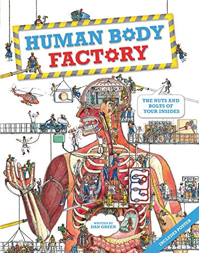 cover image Human Body Factory: 
The Nuts and Bolts of Your Insides