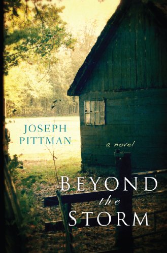 cover image Beyond the Storm