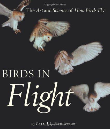 cover image Birds in Flight: The Art and Science of How Birds Fly