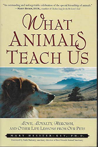 cover image WHAT ANIMALS TEACH US: Love, Loyalty, Heroism, and Other Life Lessons from Our Pets