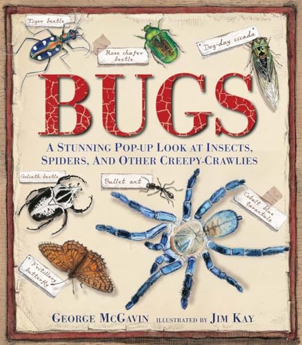 cover image Bugs: A Stunning Pop-up Look at Insects, Spiders, and Other Creepy-Crawlies