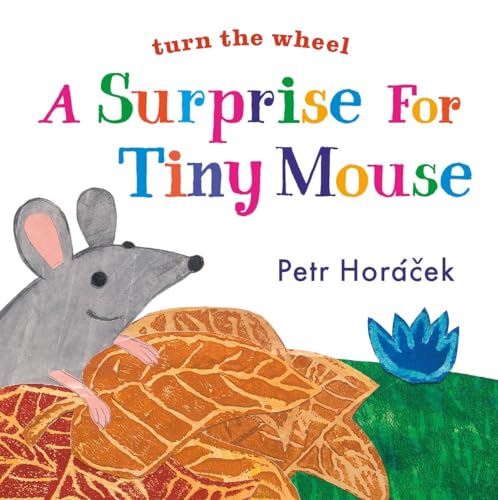 cover image A Surprise for Tiny Mouse