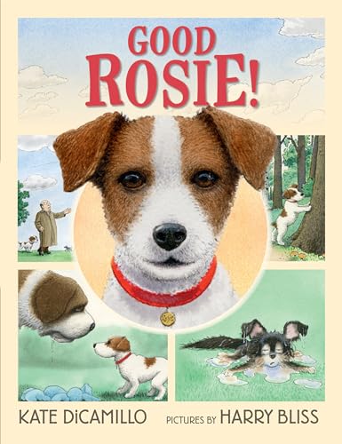 cover image Good Rosie!