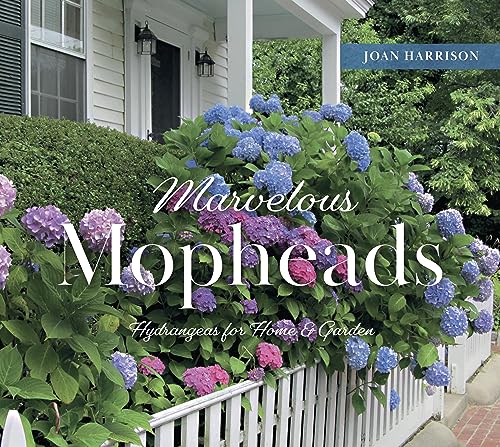 cover image Marvelous Mopheads: Hydrangeas for Home and Garden