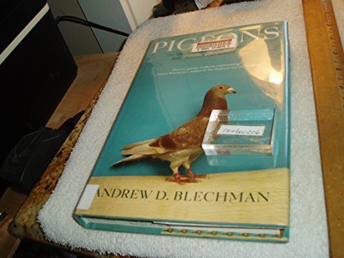 cover image Pigeons: The Fascinating Saga of the World's Most Revered and Reviled Bird
