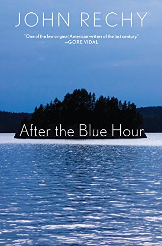 cover image After the Blue Hour