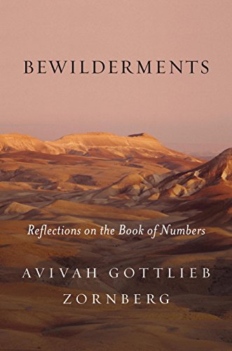 cover image Bewilderments: Reflections on the Book of Numbers