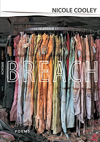 cover image Breach
