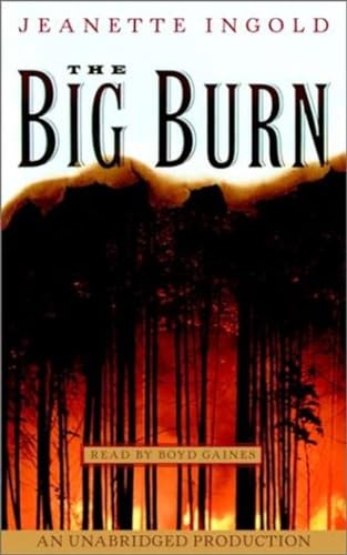 cover image THE BIG BURN