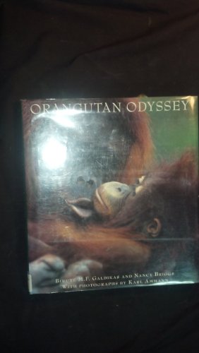 cover image Orangutan Odyssey