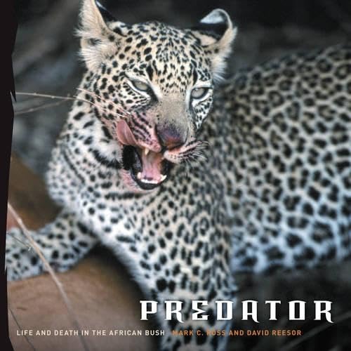 cover image Predator: Life and Death in the African Bush