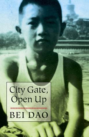 cover image City Gate, Open Up 