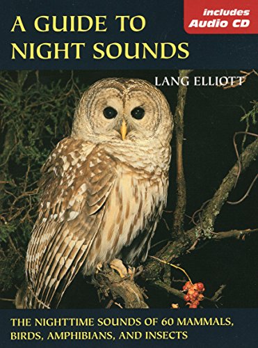 cover image A Guide to Night Sounds