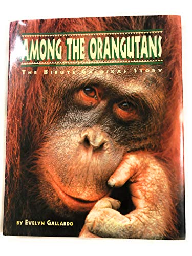 cover image Among the Orangutans