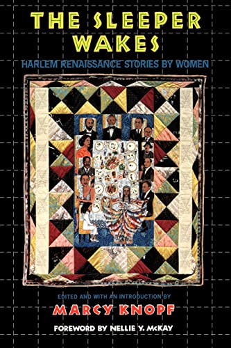 cover image The Sleeper Wakes: Harlem Renaissance Stories by Women