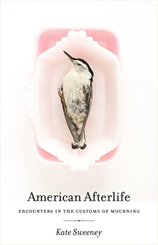 cover image American Afterlife: Encounters in the Customs of Mourning