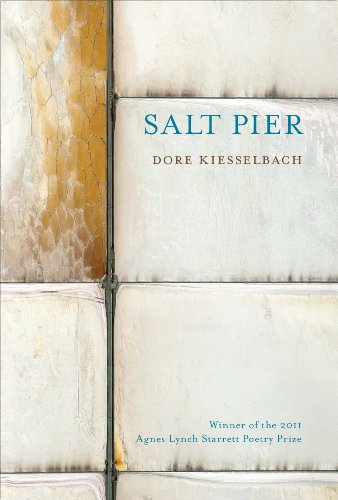 cover image Salt Pier