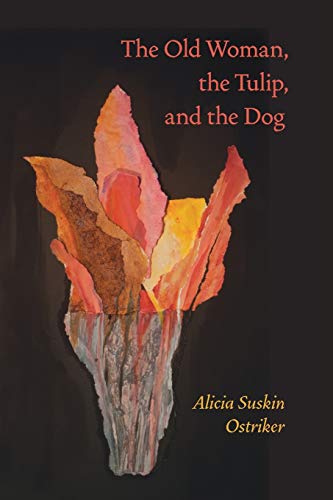 cover image The Old Woman, the Tulip, and the Dog