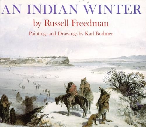 cover image An Indian Winter