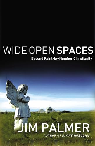 cover image Wide Open Spaces: Beyond Paint-by-Number Christianity