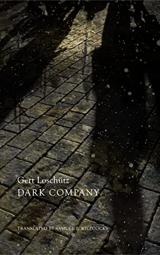 cover image Dark Company: A Novel in Ten Rainy Nights