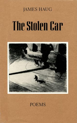 cover image Stolen Car
