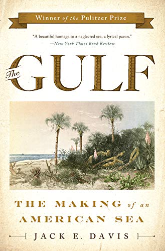 cover image The Gulf: The Making of an American Sea