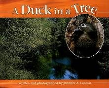cover image A Duck in a Tree