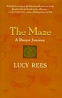 cover image The Maze: A Desert Journey