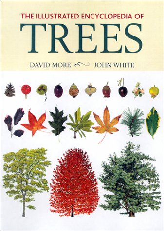 cover image THE ILLUSTRATED ENCYCLOPEDIA OF TREES