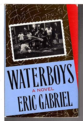 cover image Waterboys