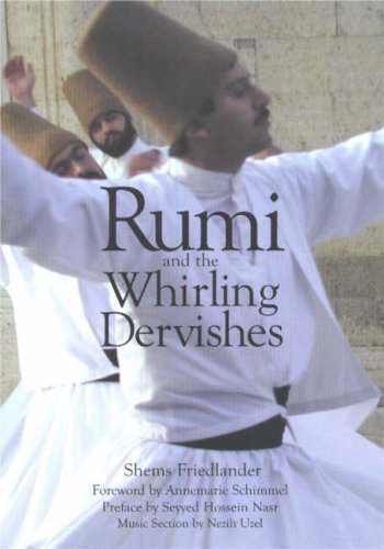 cover image RUMI AND THE WHIRLING DERVISHES