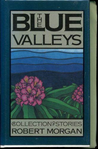 cover image The Blue Valleys: A Collection of Stories